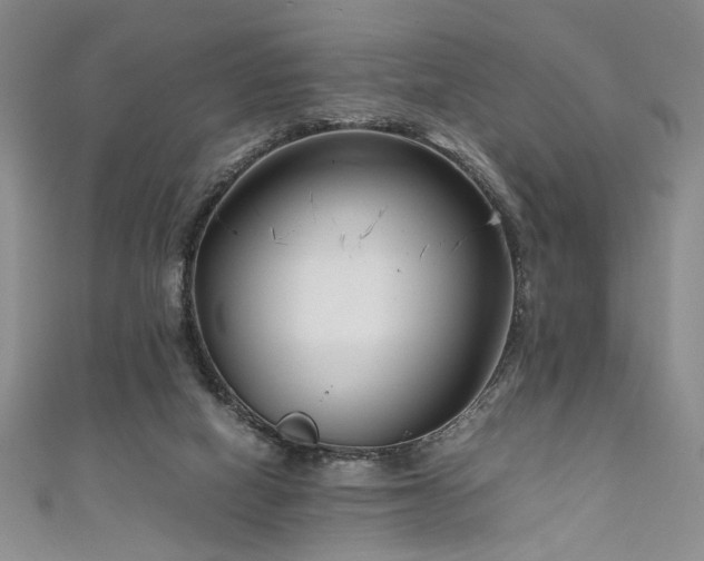 X0000111190066200907011420