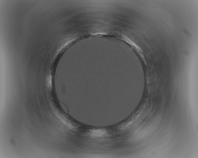 X0000111190067200907011420