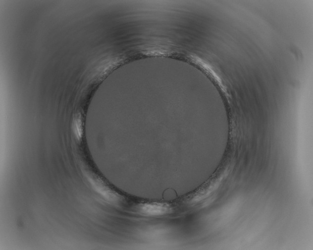 X0000111190069200907011420