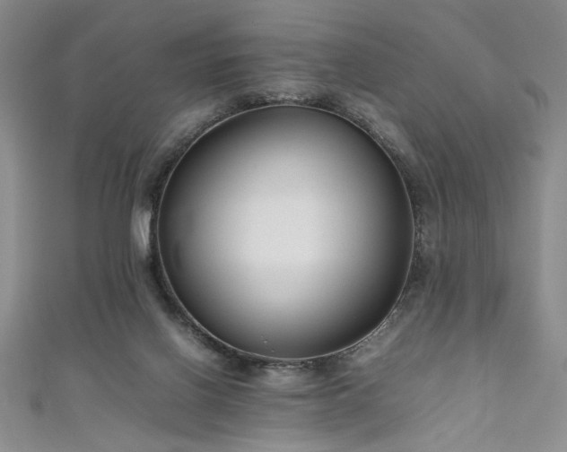 X0000111190070200907011420