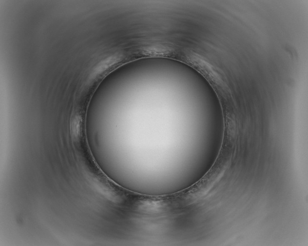 X0000111190071200907011420