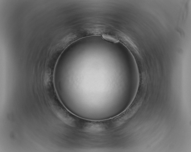 X0000111190073200907011420