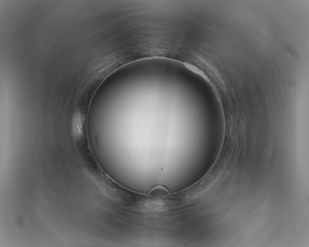 X0000111190075200907011420