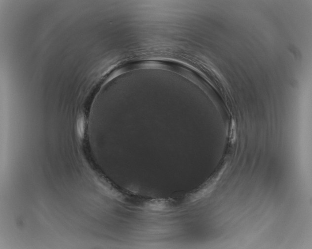 X0000111190076200907011420