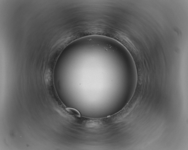 X0000111190077200907011420