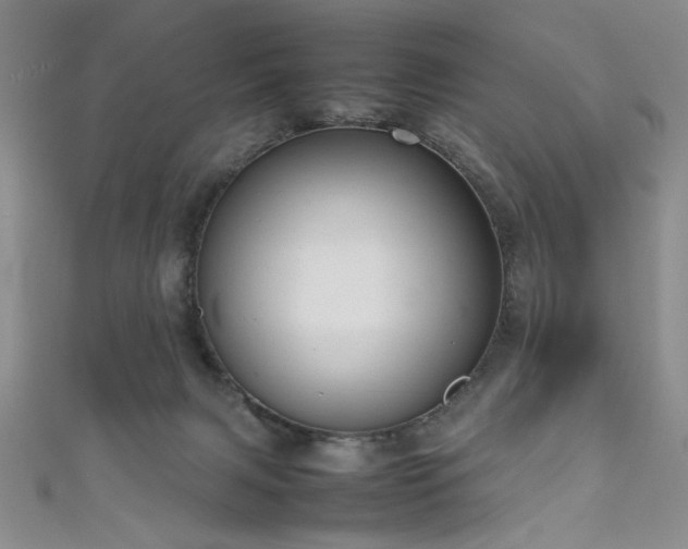 X0000111190079200907011420