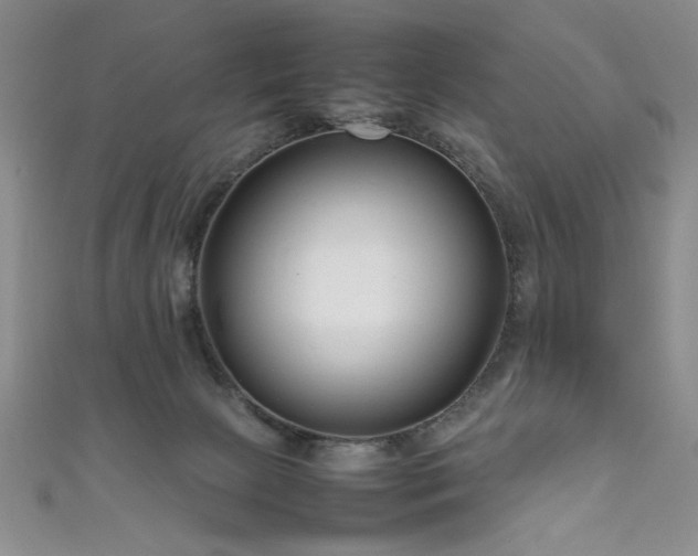 X0000111190081200907011420