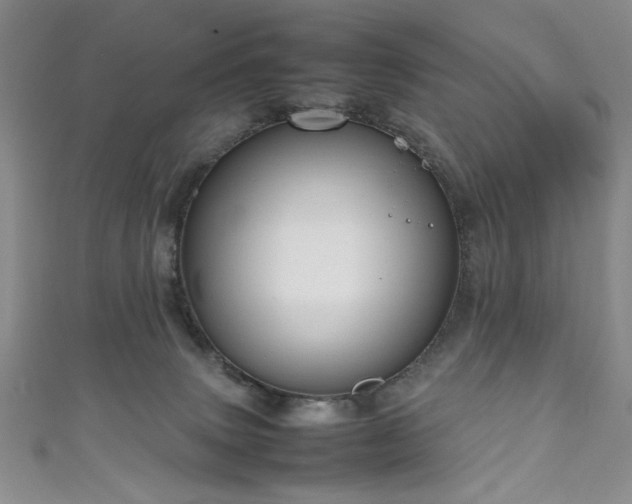 X0000111190083200907011420