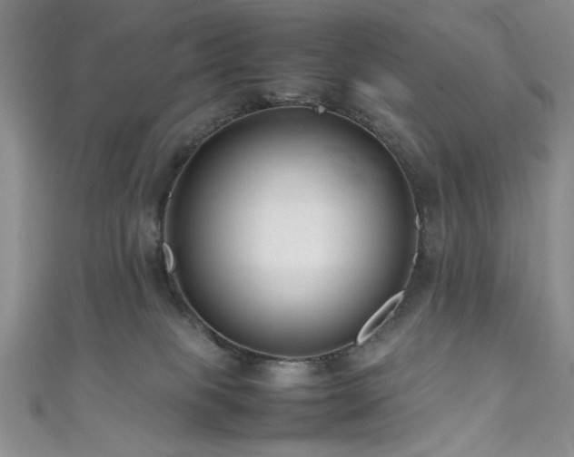 X0000111190085200907011421