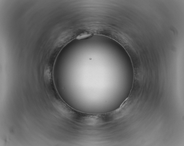 X0000111190086200907011421