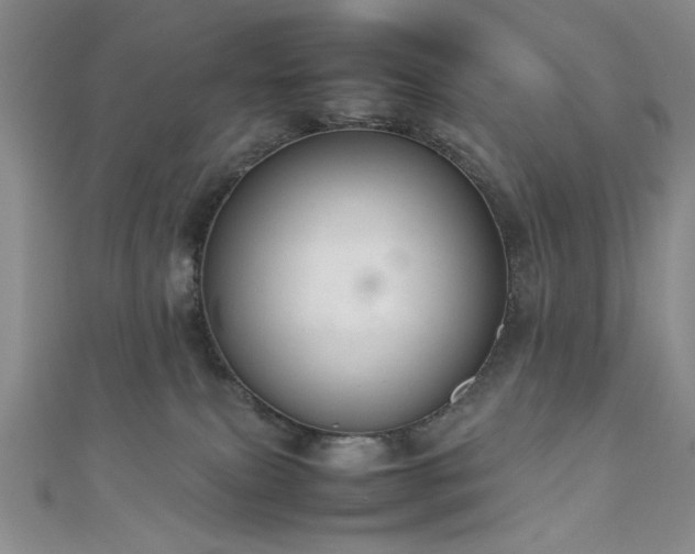 X0000111190087200907011421