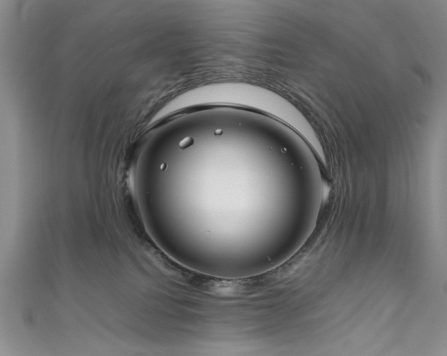 X0000111190088200907011421