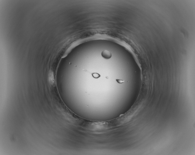 X0000111190089200907011421