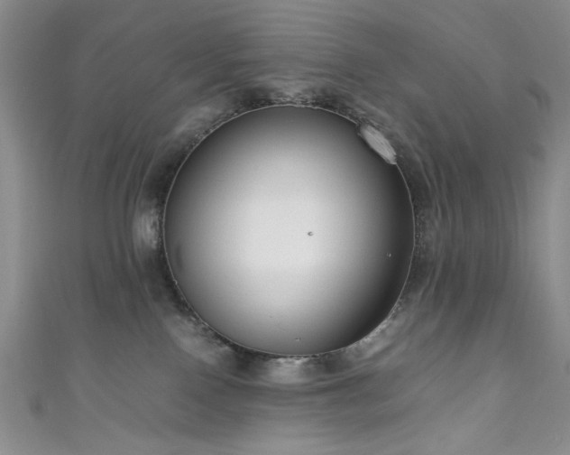 X0000111190090200907011421