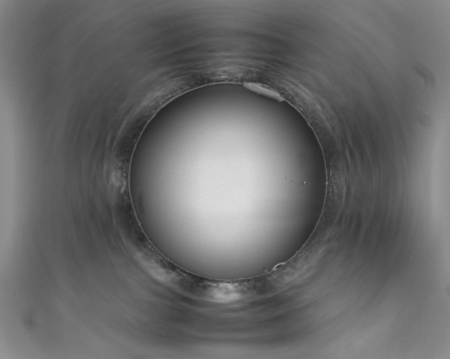 X0000111190091200907011421