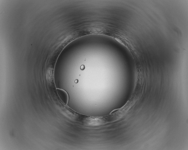 X0000111190093200907011421