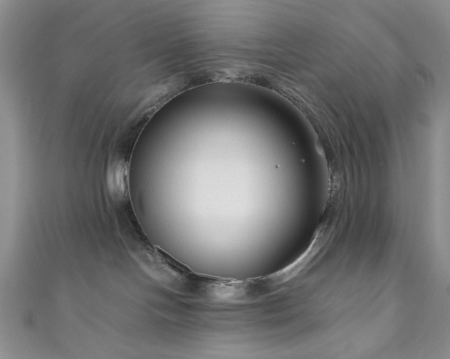 X0000111190094200907011421