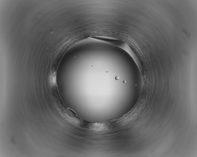 X0000111190095200907011421