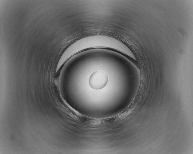 X0000111190096200907011421