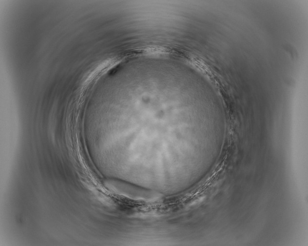 X0000111190097200907011420