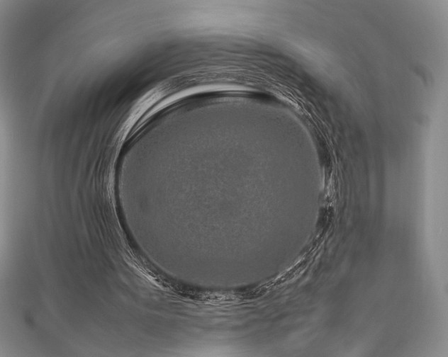 X0000111190099200907011420