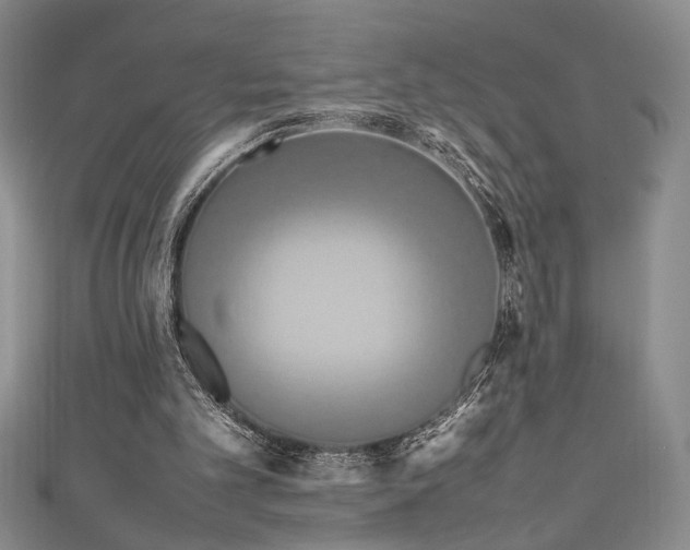 X0000111190101200907011420