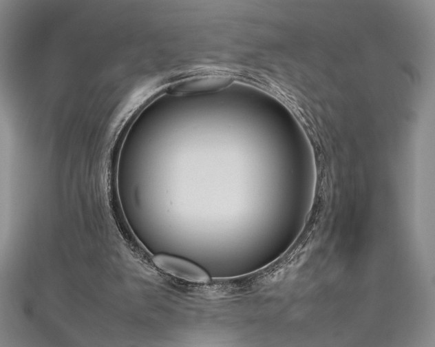 X0000111190103200907011420