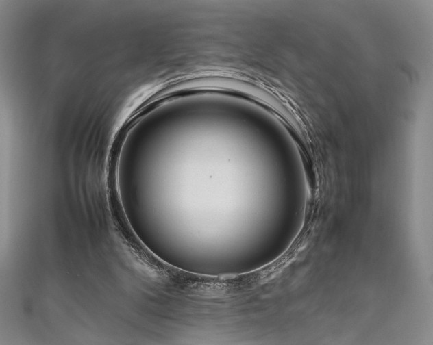 X0000111190104200907011420