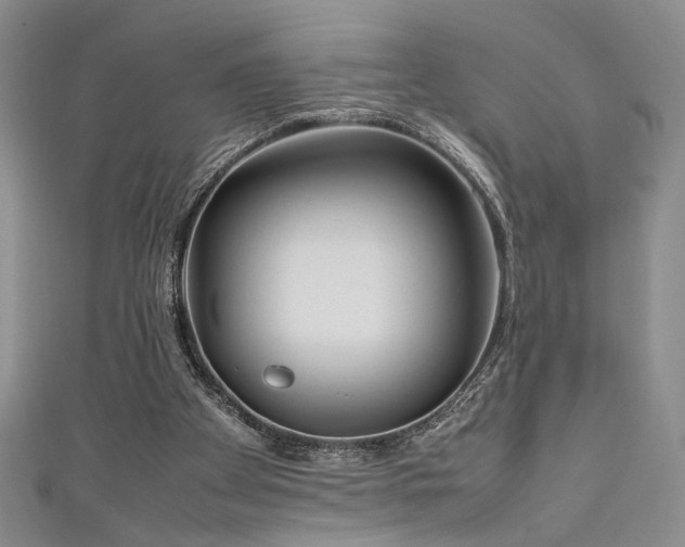 X0000111190105200907011420