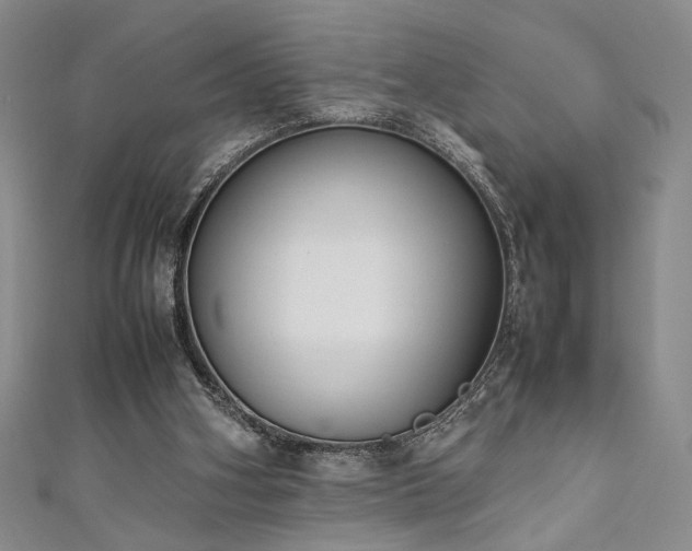 X0000111190106200907011420