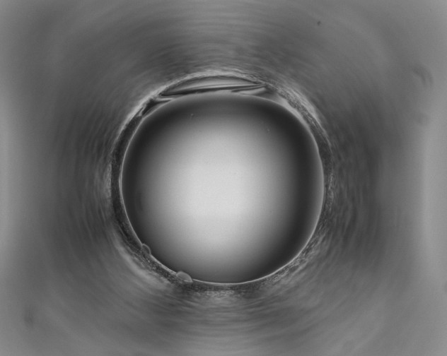 X0000111190108200907011420