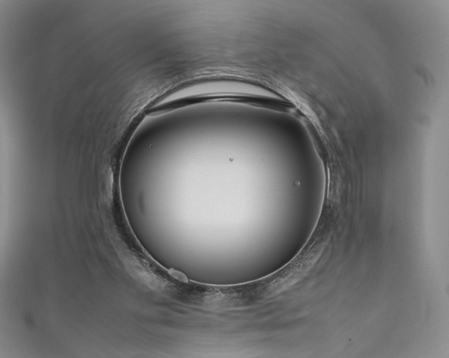 X0000111190109200907011420