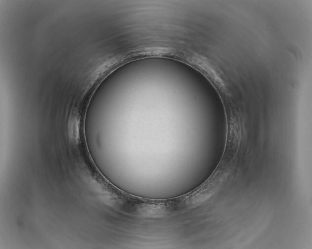 X0000111190110200907011420