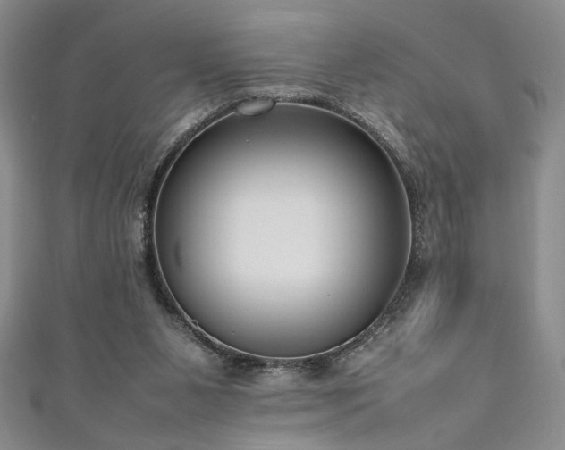 X0000111190111200907011420