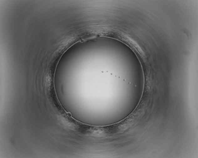 X0000111190113200907011420