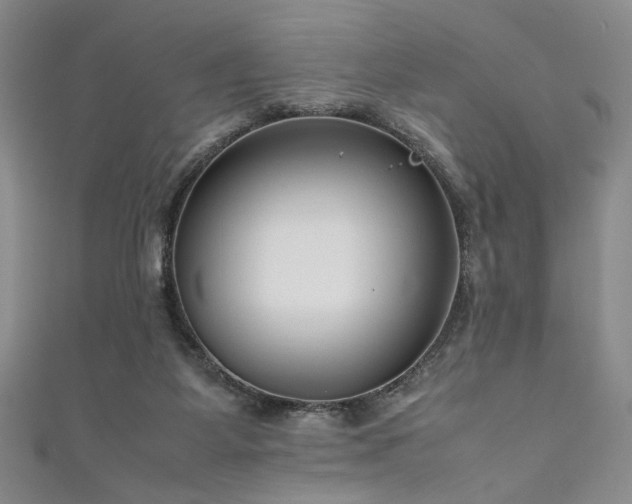 X0000111190115200907011420