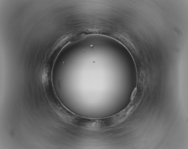 X0000111190116200907011420