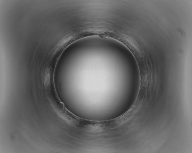 X0000111190120200907011420