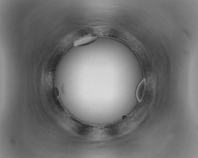 X0000111190121200907011420