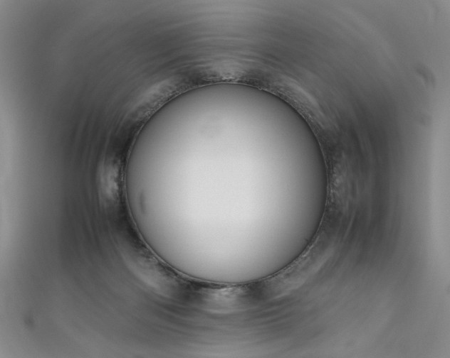 X0000111190122200907011420