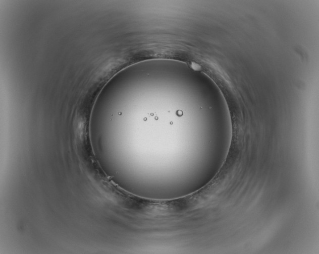 X0000111190123200907011420