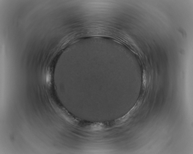 X0000111190124200907011420