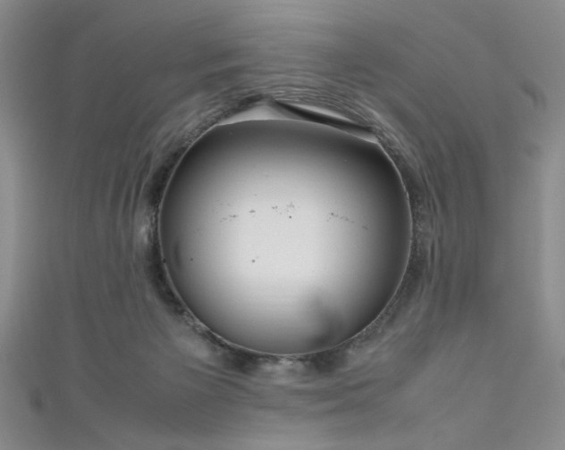 X0000111190125200907011420