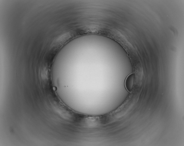 X0000111190126200907011420