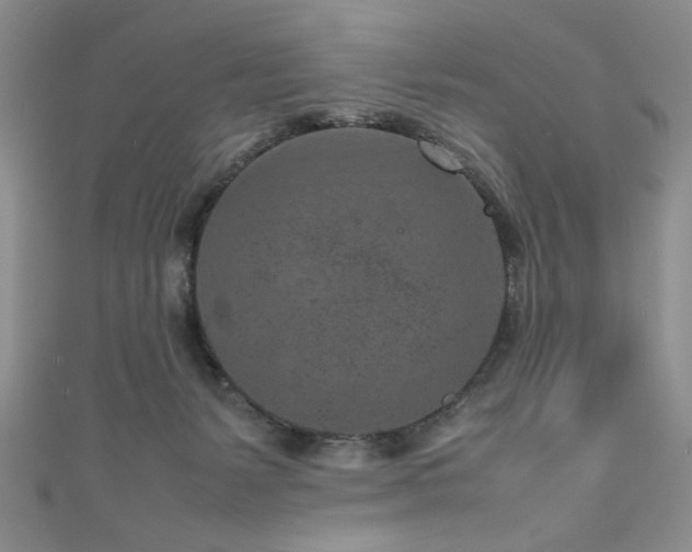 X0000111190127200907011420