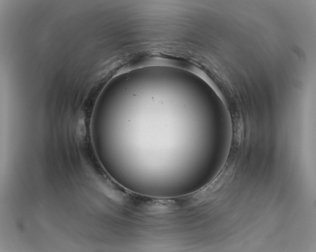 X0000111190128200907011420