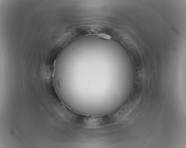 X0000111190129200907011420