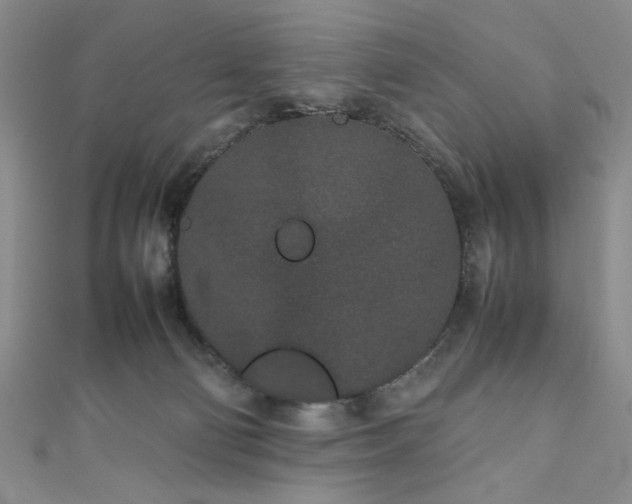 X0000111190130200907011420