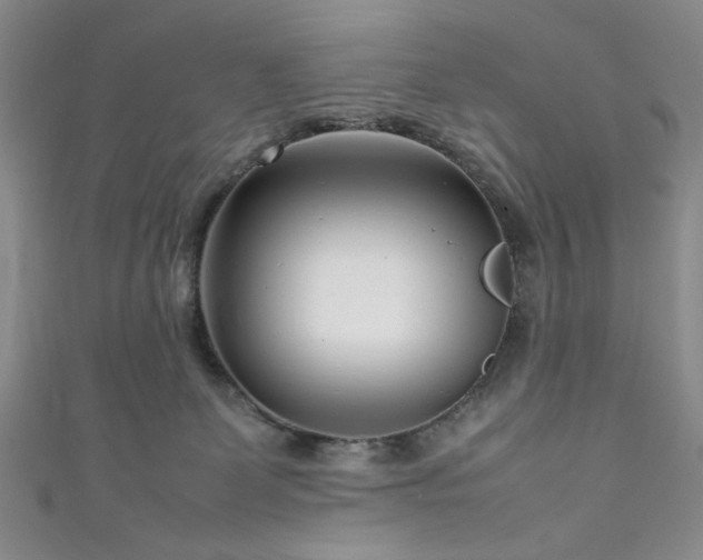 X0000111190131200907011420