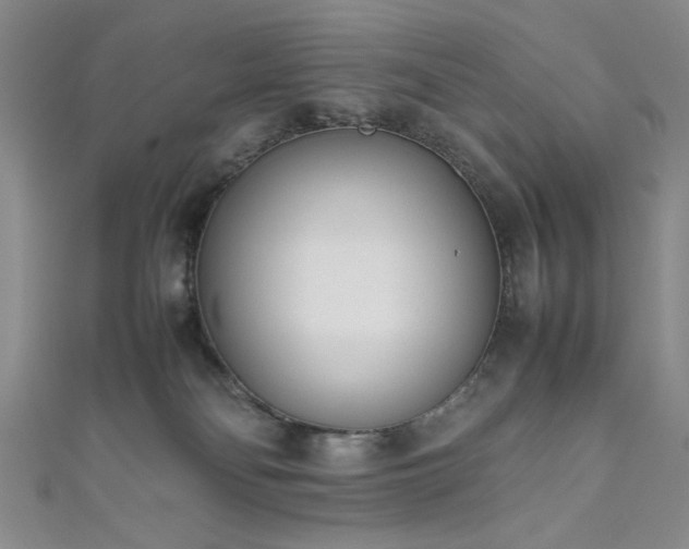 X0000111190134200907011420